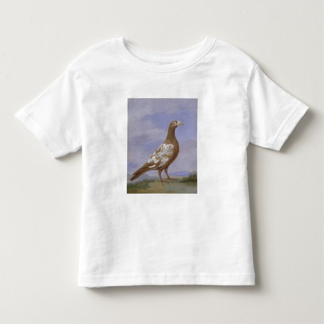 Camiseta Infantil Pombo de portador Pied vermelho (óleo em canvas) (Frente)