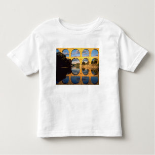 Camiseta Infantil Pont du Gard, Gardon River, Gard, Languedoc,