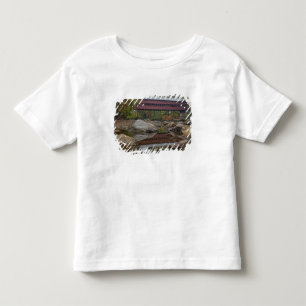 Camiseta Infantil Ponte Albany, perto de Kancamagus