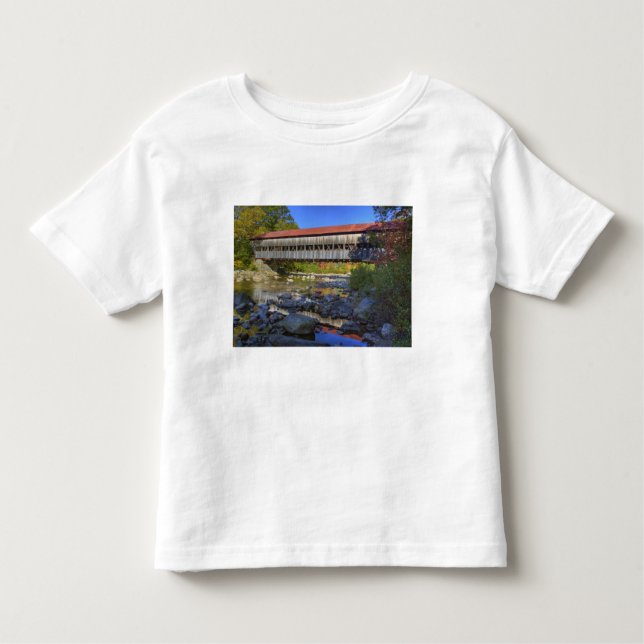 Camiseta Infantil Ponte coberta de Albany sobre o rio Swift, Branco (Frente)