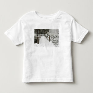 Camiseta Infantil Ponte da lua coberta de neve, Jardim Japonês