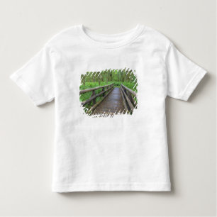 Camiseta Infantil Ponte de madeira, samambaias e
