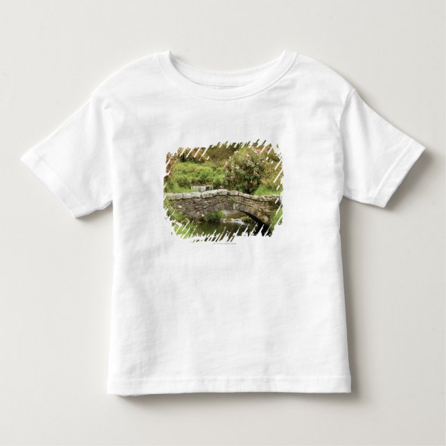 Camiseta Infantil Ponte de pedra velha através de um córrego no (Frente)
