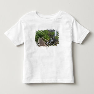 Camiseta Infantil Ponte em Latourell Falls, Columbia River Gorge,