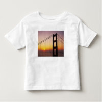 Ponte Ouro Gate, São Francisco, Califórnia, 3