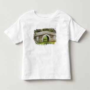 Camiseta Infantil Ponte, Palácio de Verão, Pequim, China