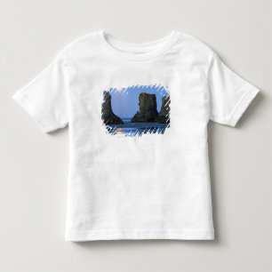Camiseta Infantil Pôr da lua, Praia de Bandon, Oregon.