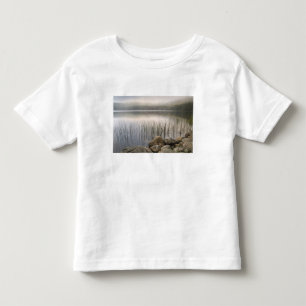 Camiseta Infantil Pôr do sol através do nevoeiro sobre a proteçã