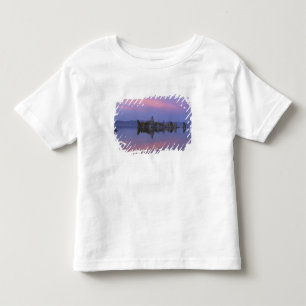 Camiseta Infantil Pôr do sol no Mono Lake, CA.