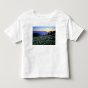 Camiseta Infantil Pôr do sol no Obstruciton Point, Parque Nacional O