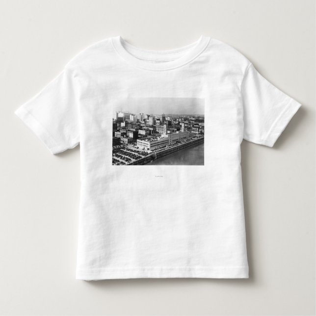 Camiseta Infantil Portland, OU vista aérea da ponte de Hawthorne (Frente)
