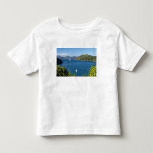 Camiseta Infantil Porto de Picton, Marlborough Sounds, Sul