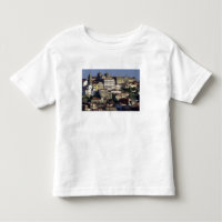 Portugal, Porto (Porto). Casas históricas e