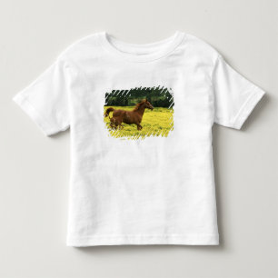 Camiseta Infantil Potro e égua árabes correndo através