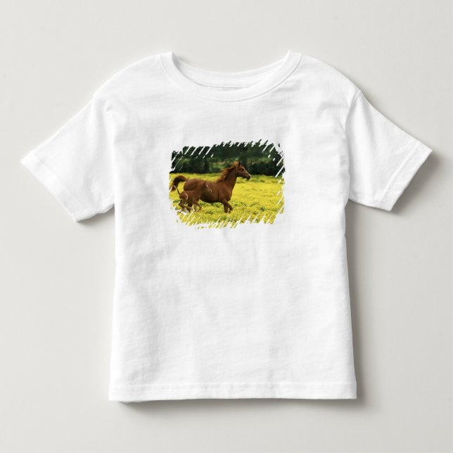 Camiseta Infantil Potro e égua árabes correndo através (Frente)