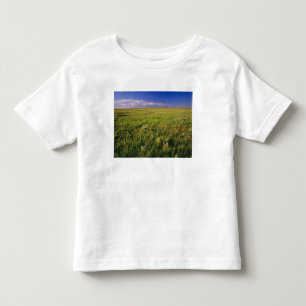 Camiseta Infantil Pradaria de grama curta no remoto nordeste