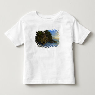 Camiseta Infantil Praia Ansi Victorin 2