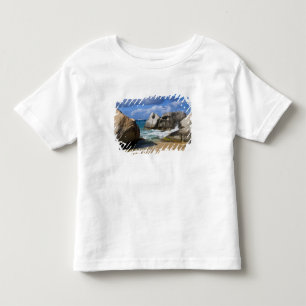 Camiseta Infantil Praia em Virgin Gorda, Ilhas Virgens Britânicas