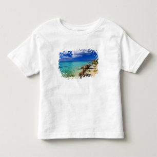Camiseta Infantil Praias, Barahona, República Dominicana, 3