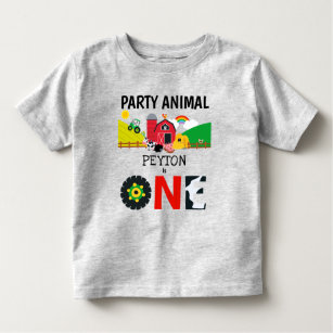 Camiseta Infantil primeiro aniversario Fazenda De Um Ano