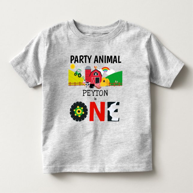 Camiseta Infantil primeiro aniversario Fazenda De Um Ano (Frente)