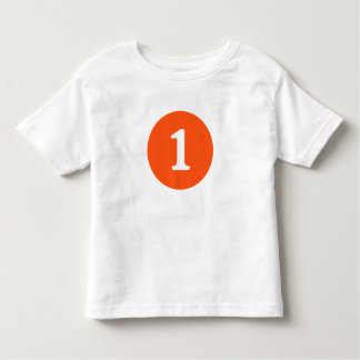 Camiseta Infantil Primeiro aniversário personalizado
