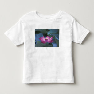 Camiseta Infantil Primeiro plano de flor de lótus vermelha e folhas