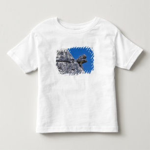 Camiseta Infantil Primeiro plano de pedras fazendo um antigo maia