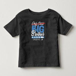 Camiseta Infantil Promovido a Irmão Mais Velho Carregando Irmão Mais