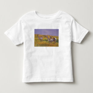 Camiseta Infantil Pronghorn Antelope em Montana