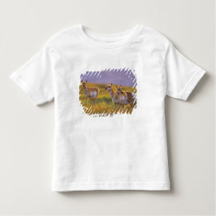 Camiseta Infantil Pronghorn Antelope em Montana