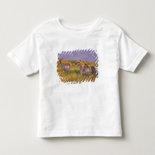 Camiseta Infantil Pronghorn Antelope em Montana (Frente)
