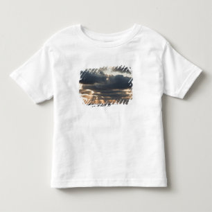 Camiseta Infantil Provincetown, Massachusetts