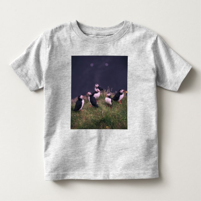 Camiseta Infantil Puffins Atlântico (Frente)