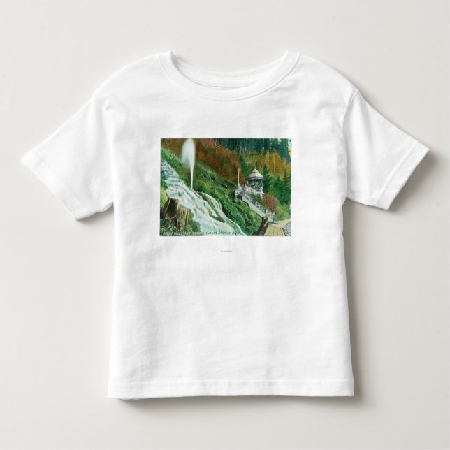Camiseta Infantil Quedas de Oxone e primaveras de ViewShasta do (Frente)