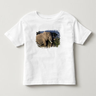 Camiseta Infantil Quênia: Amboseli, elefante africano macho