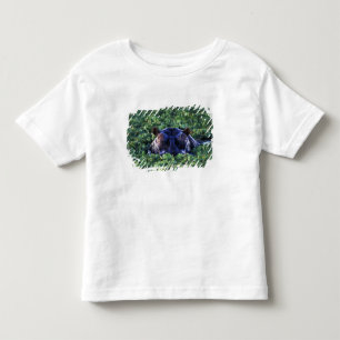 Camiseta Infantil Quênia, Masai Mara Reserva Nacional.
