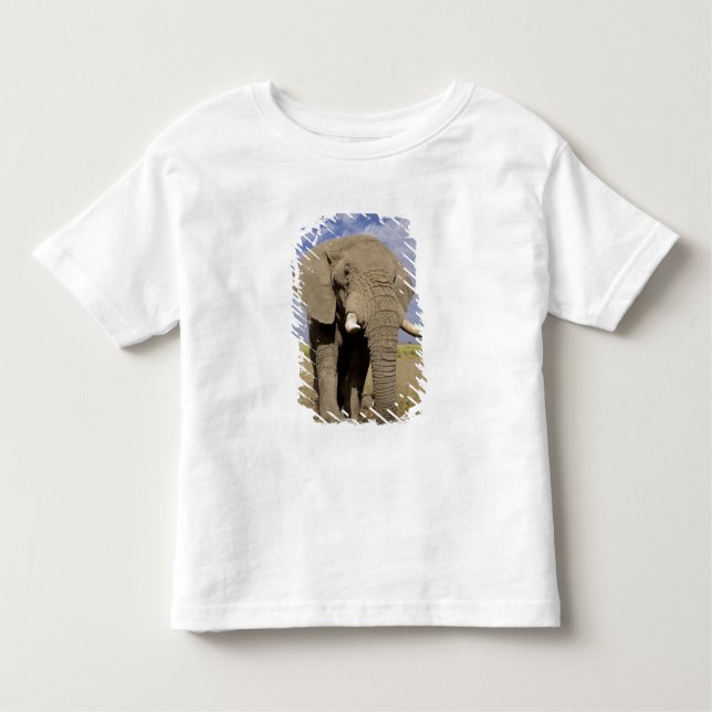Camiseta Infantil Quênia: Parque Nacional de Amboseli, elefante masc (Frente)