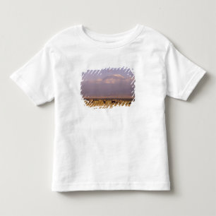 Camiseta Infantil Quênia: Parque Nacional de Amboseli, Elefantes