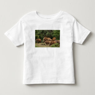 Camiseta Infantil Quênia: Parque Nacional de Tsavo East, manada Afri