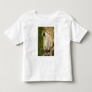 Camiseta Infantil Quênia, Parque Nacional do Lago Nakuru. Vervet
