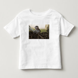 Camiseta Infantil Quênia, Reserva de Jogo Samburu. Macaco Vervet