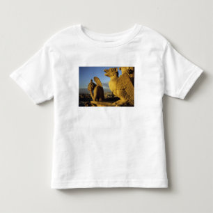 Camiseta Infantil Quimera, Catedral de Notre-Dame, Paris, França