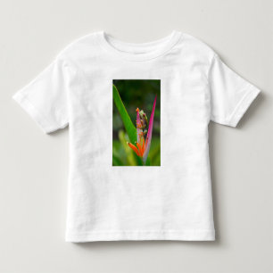 Camiseta Infantil Rã-arbórea-de-olho-vermelho, Costa Rica