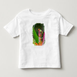 Camiseta Infantil Rã-arbórea-de-olho-vermelho, Costa Rica