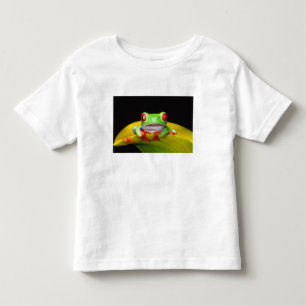 Camiseta Infantil Rã-arbórea-de-olhos-vermelhos, Agalychinis callidr