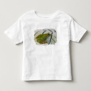 Camiseta Infantil Rã-arbórea-do-pacífico em flores no nosso jardim,