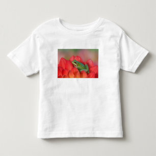 Camiseta Infantil Rã-arbórea-do-pacífico sobre flores no jardim