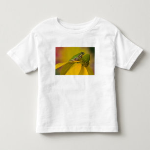 Camiseta Infantil Rã-árvore do Pacífico em flores no nosso jardim