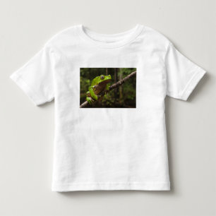 Camiseta Infantil Rã-folha-gigante (Phyllomedusa bicolor)